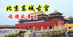 正在播放骚逼好痒用力操中国北京-东城古宫旅游风景区